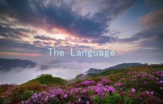 The Language of Love: Communicating Needs in Romantic Partnerships