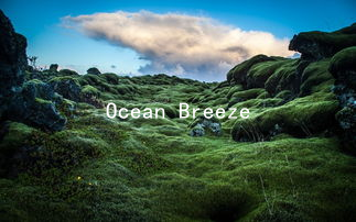 Ocean Breeze and Affectionate Ease: Relationship Tips for Beach Lovers