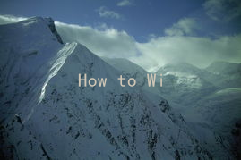 How to Win Back Your Partner for Free: Proven Relationship Strategies