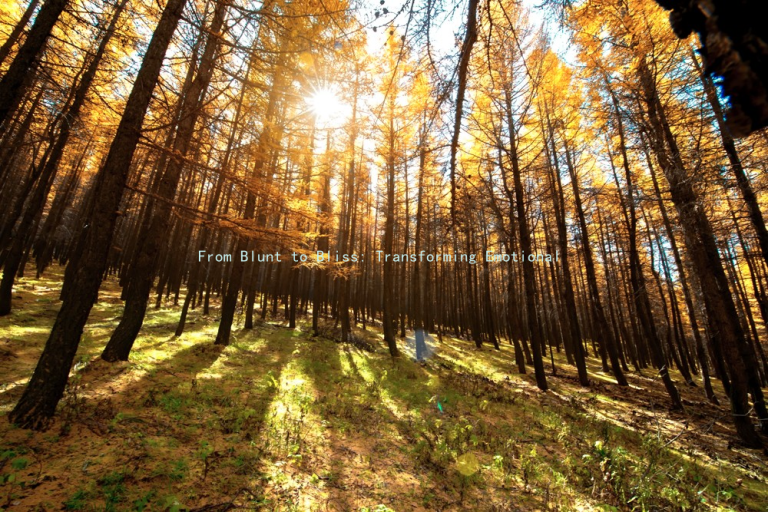 From Blunt to Bliss: Transforming Emotional Distance into Intimacy