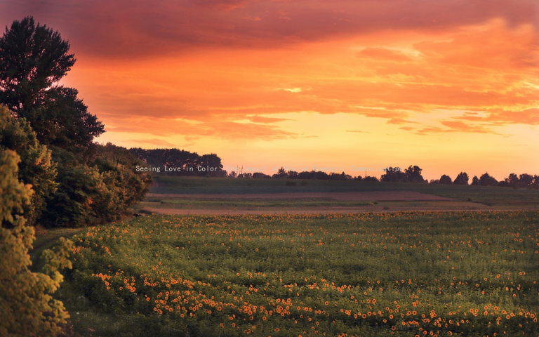 Seeing Love in Color: The Impact of Hue on Romantic Communication