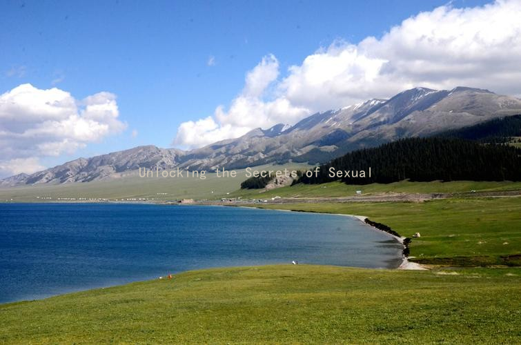 Unlocking the Secrets of Sexual Dynamics: Embracing Social Roles for Better Communication