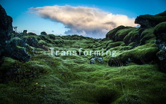 Transforming Your Love Life: Tips on Embracing Gender Differences in Sexuality