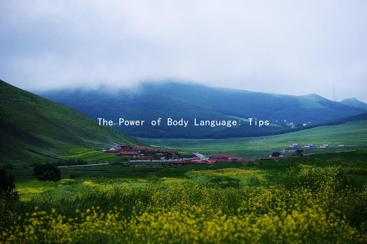 The Power of Body Language: Tips for Romantic Postures in Relationships