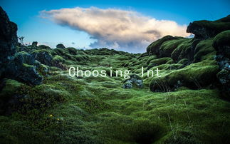 Choosing Intimacy Positions: Healthy Principles for Better Relationships
