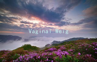 Vaginal Weights: A Unique Tool for Building Emotional Intimacy