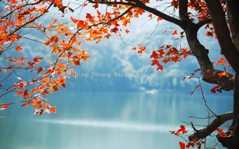 Building Strong Relationships: Communication Tips for Partners of Those with Bipolar Disorder