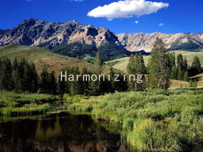 Harmonizing Desire: Effective Sexual Techniques for a Stronger Relationship